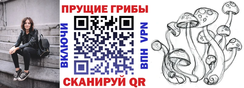 Псилоцибиновые грибы ЛСД купить наркоту Ульяновск