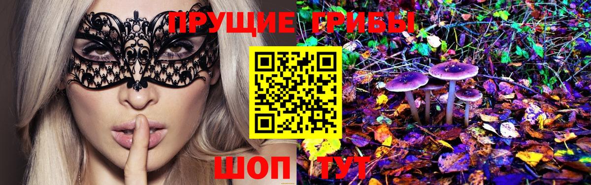 Галлюциногенные грибы Cubensis  Галлюциногенные грибы GOLDEN TEACHER  Ульяновск  Вход с VPN 