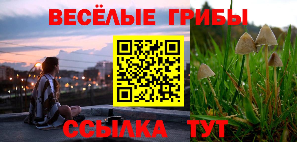 Галлюциногенные грибы Psilocybe Ульяновск